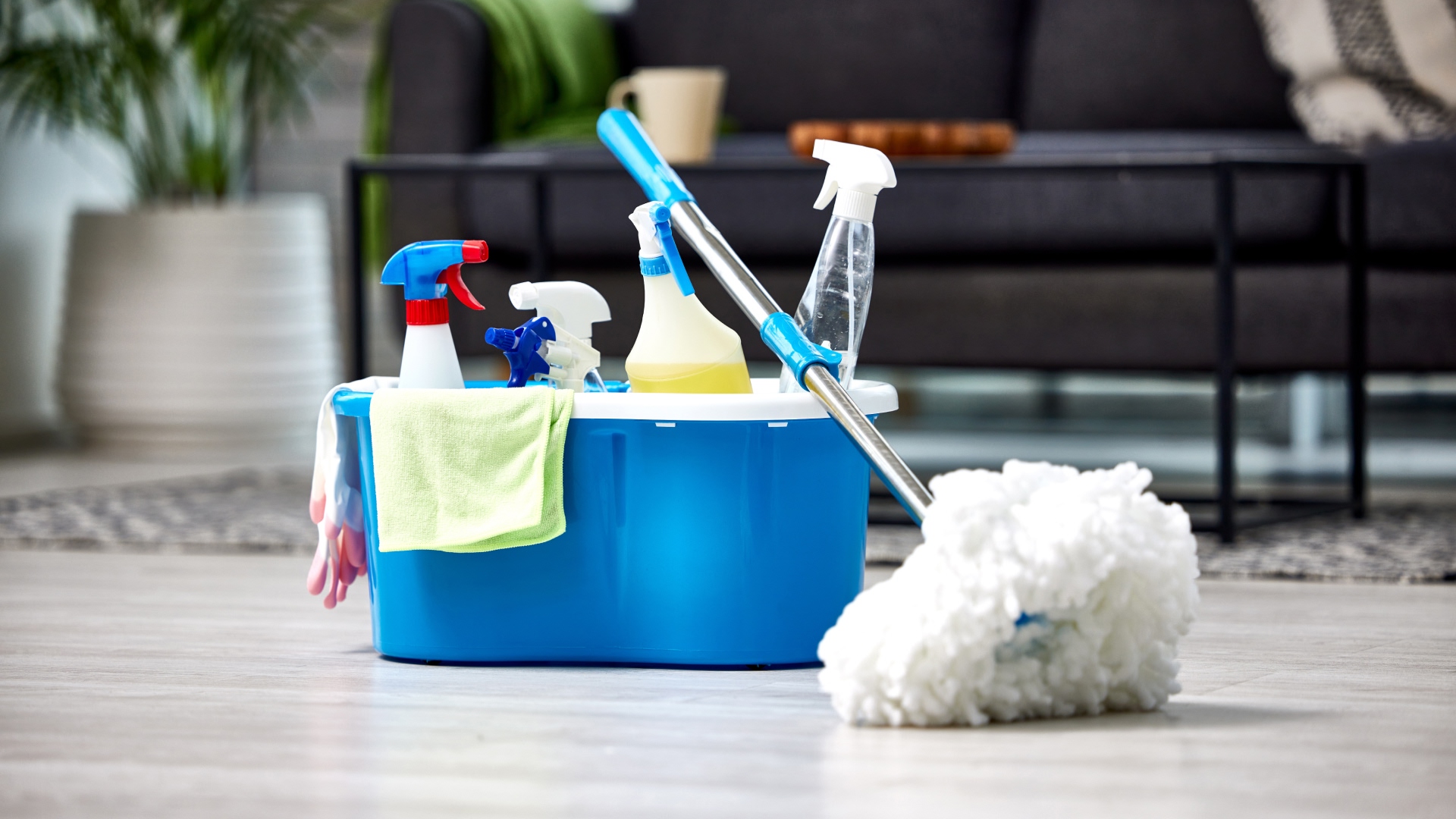 ProClean städtjänster